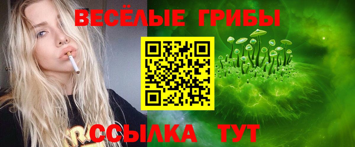 Псилоцибиновые грибы ЛСД  Вход с VPN  Губкинский 