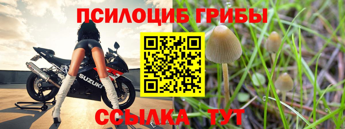 Галлюциногенные грибы мухоморы Губкинский